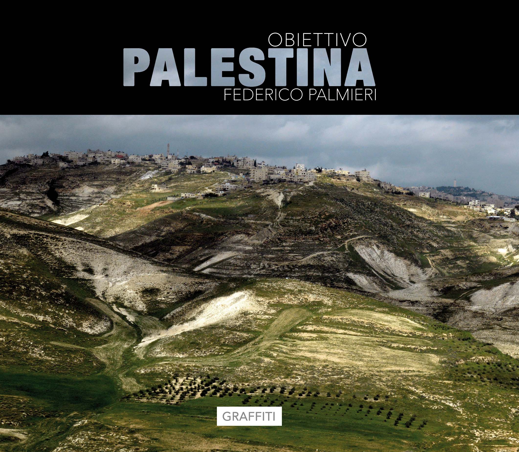 COPERTINA PALESTINA PALMIERI