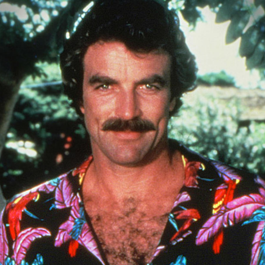 movember 8