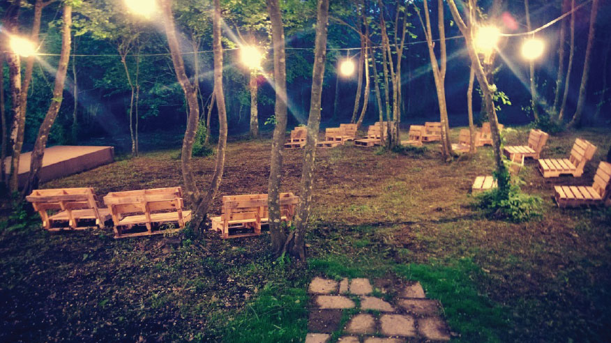 in the grove 5
