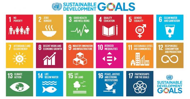 17 obiettivi per salvare il pianeta