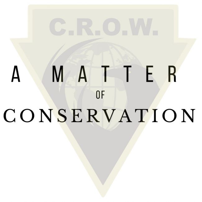 A matter of conservation