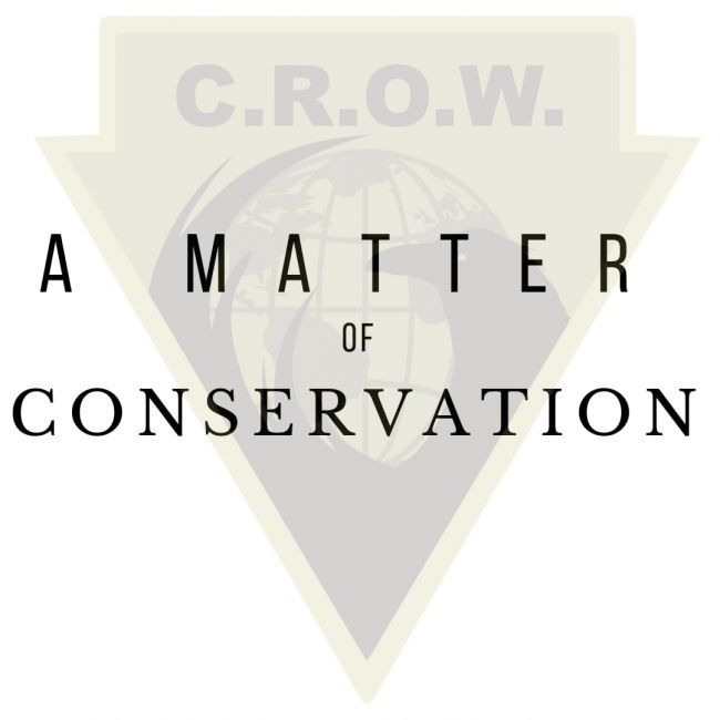 A matter of conservation