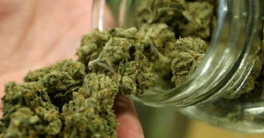 cannabis legale