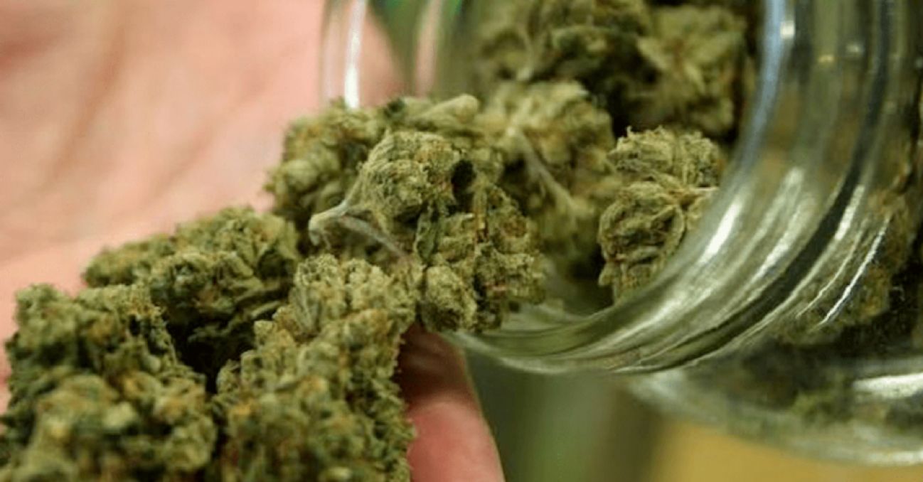 cannabis legale