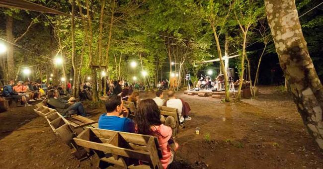 in the grove concerti calendario